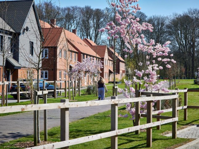 Hounsome Fields