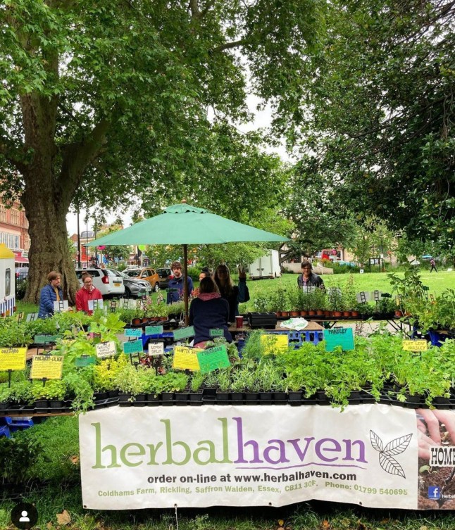 Camberwell market